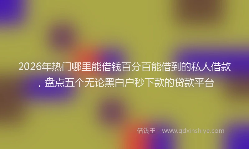 2026年热门哪里能借钱百分百能借到的私人借款，盘点五个无论黑白户秒下款的贷款平台