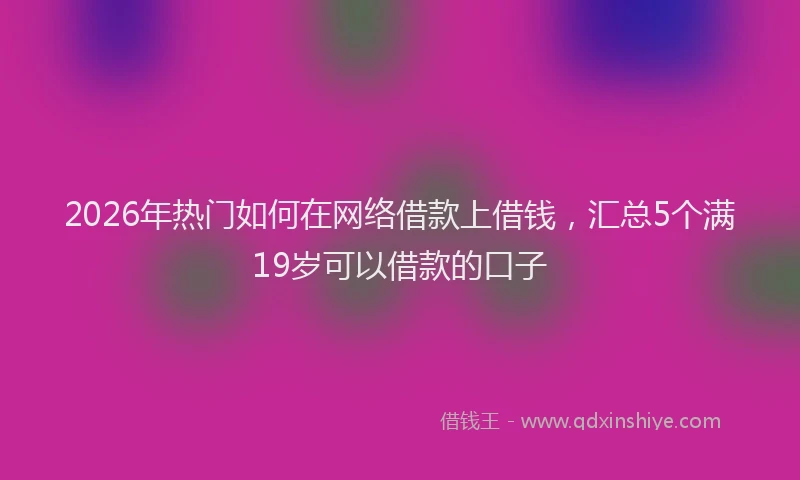 2026年热门如何在网络借款上借钱，汇总5个满19岁可以借款的口子