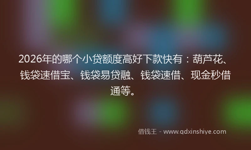 2026年的哪个小贷额度高好下款快有：葫芦花、钱袋速借宝、钱袋易贷融、钱袋速借、现金秒借通等。