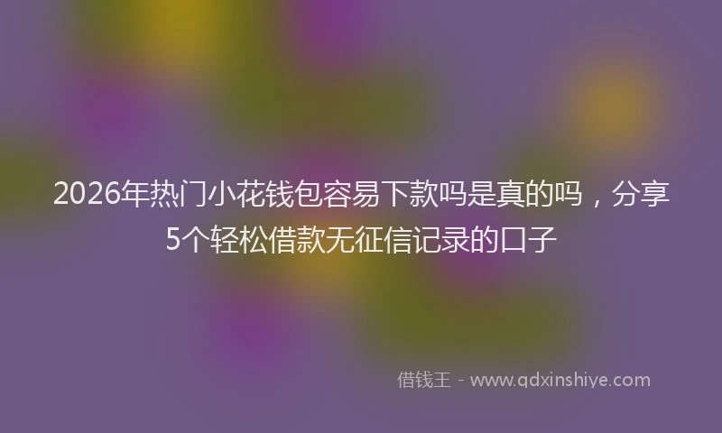 2026年热门小花钱包容易下款吗是真的吗，分享5个轻松借款无征信记录的口子