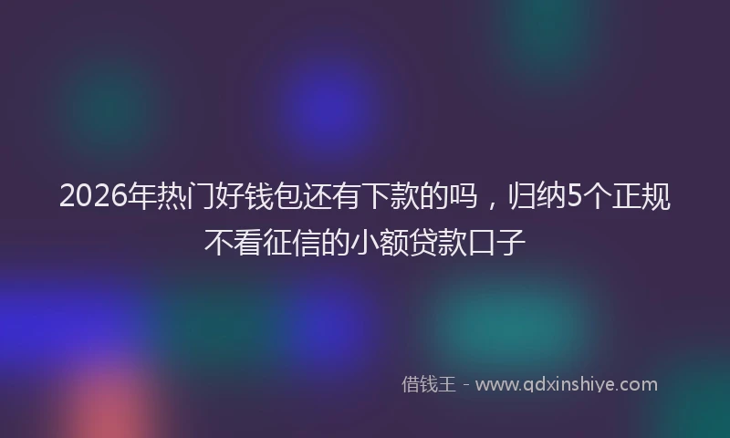 2026年热门好钱包还有下款的吗，归纳5个正规不看征信的小额贷款口子