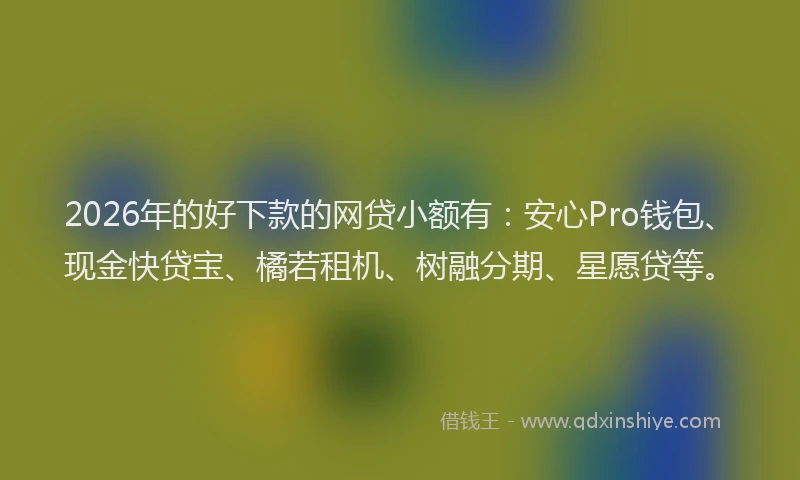 2026年的好下款的网贷小额有：安心Pro钱包、现金快贷宝、橘若租机、树融分期、星愿贷等。