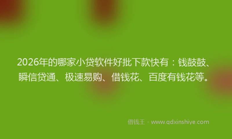 2026年的哪家小贷软件好批下款快有：钱鼓鼓、瞬信贷通、极速易购、借钱花、百度有钱花等。