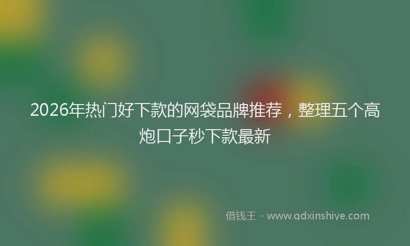 2026年热门好下款的网袋品牌推荐，整理五个高炮口子秒下款最新