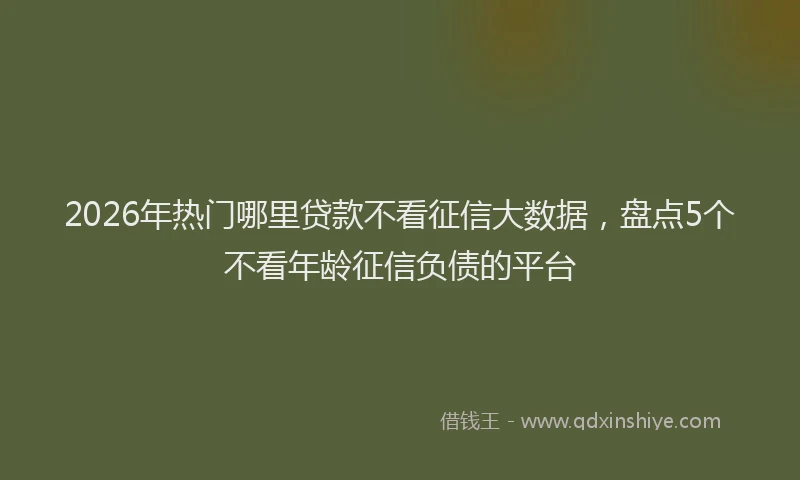 2026年热门哪里贷款不看征信大数据，盘点5个不看年龄征信负债的平台