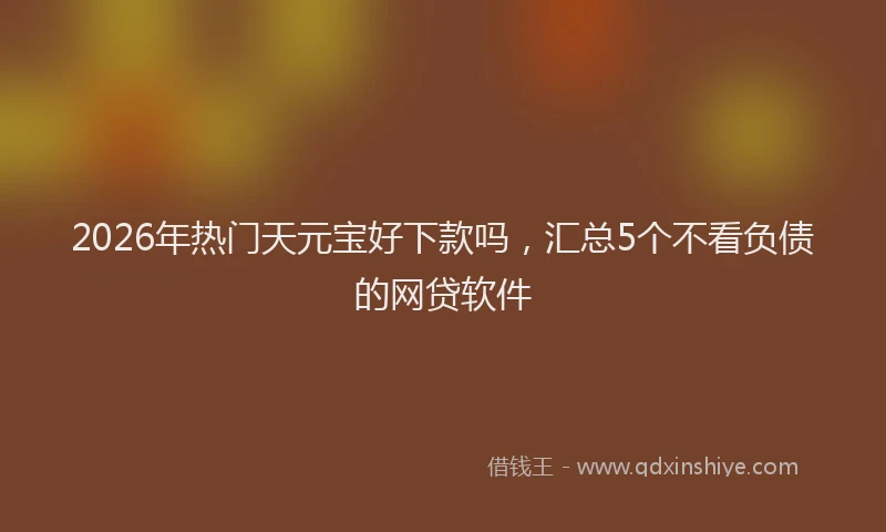 2026年热门天元宝好下款吗，汇总5个不看负债的网贷软件