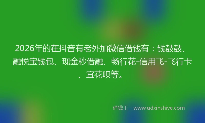 2026年的在抖音有老外加微信借钱有：钱鼓鼓、融悦宝钱包、现金秒借融、畅行花-信用飞-飞行卡、宜花呗等。