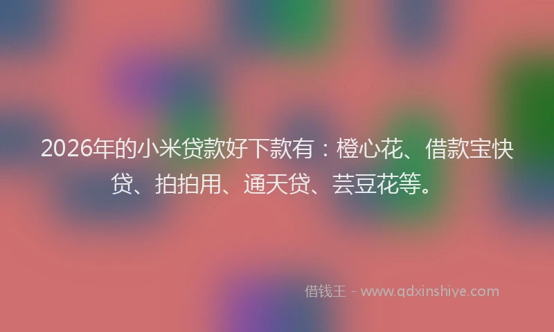 2026年的小米贷款好下款有:橙心花、借款宝快贷、拍拍用、通天贷、芸豆花等。