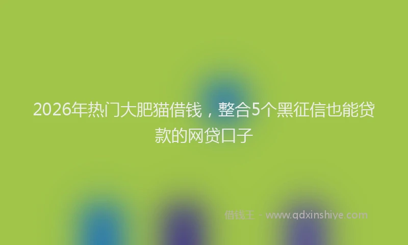 2026年热门大肥猫借钱，整合5个黑征信也能贷款的网贷口子