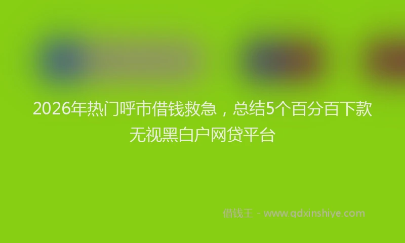 2026年热门呼市借钱救急，总结5个百分百下款无视黑白户网贷平台