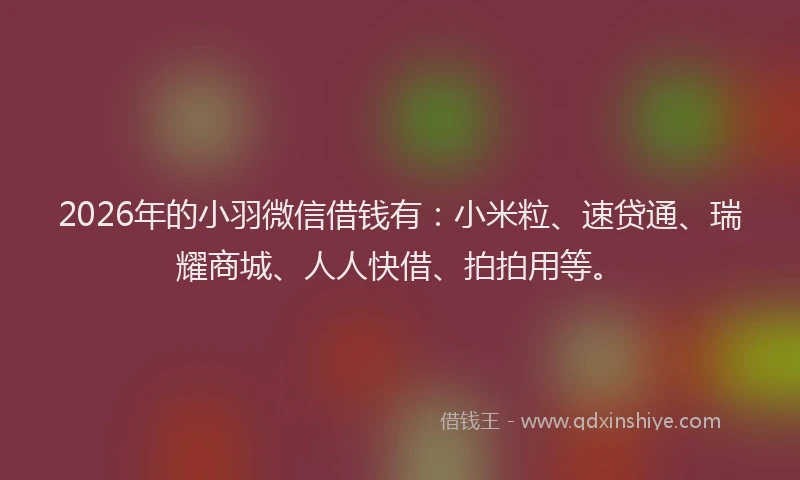 2026年的小羽微信借钱有:小米粒、速贷通、瑞耀商城、人人快借、拍拍用等。