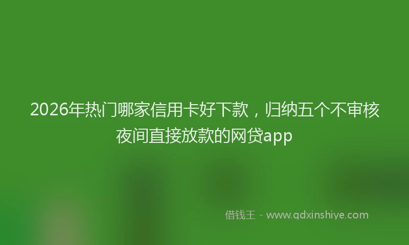 2026年热门哪家信用卡好下款，归纳五个不审核夜间直接放款的网贷app
