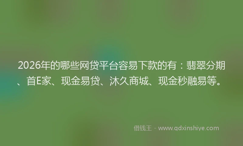 2026年的哪些网贷平台容易下款的有：翡翠分期、首E家、现金易贷、沐久商城、现金秒融易等。