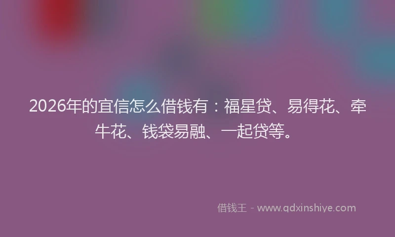2026年的宜信怎么借钱有:福星贷、易得花、牵牛花、钱袋易融、一起贷等。