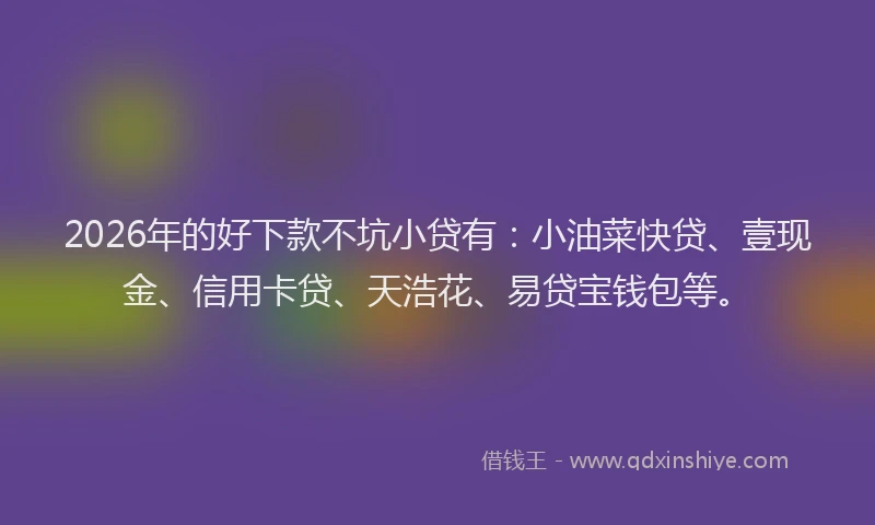 2026年的好下款不坑小贷有：小油菜快贷、壹现金、信用卡贷、天浩花、易贷宝钱包等。