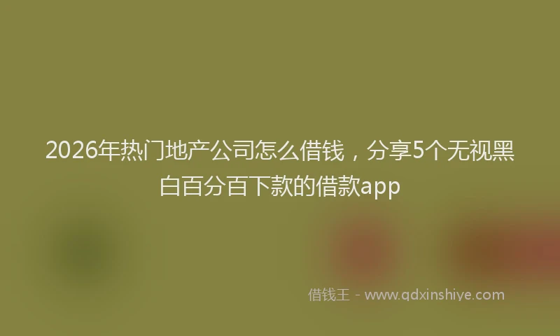 2026年热门地产公司怎么借钱，分享5个无视黑白百分百下款的借款app