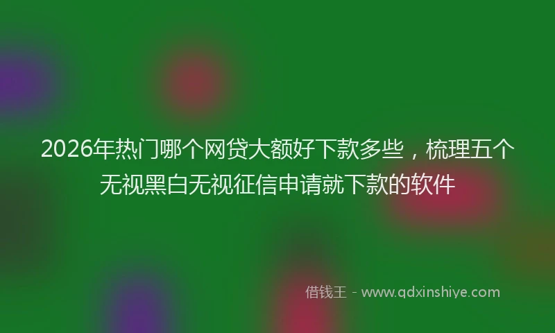 2026年热门哪个网贷大额好下款多些，梳理五个无视黑白无视征信申请就下款的软件