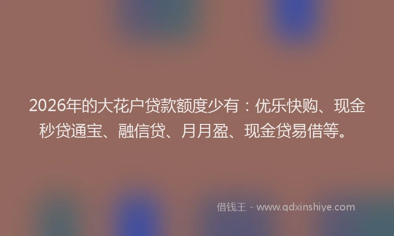 2026年的大花户贷款额度少有：优乐快购、现金秒贷通宝、融信贷、月月盈、现金贷易借等。