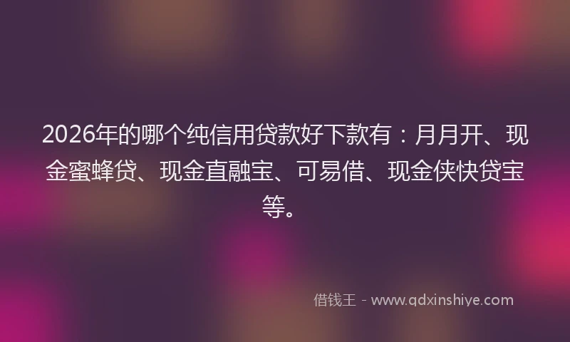 2026年的哪个纯信用贷款好下款有：月月开、现金蜜蜂贷、现金直融宝、可易借、现金侠快贷宝等。
