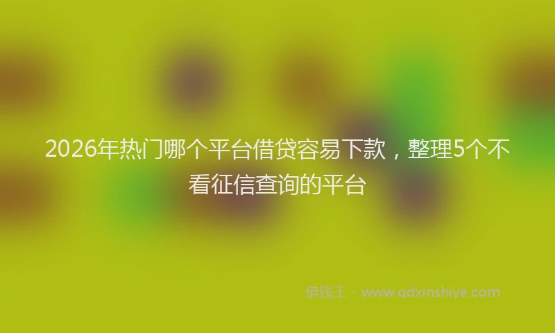 2026年热门哪个平台借贷容易下款，整理5个不看征信查询的平台