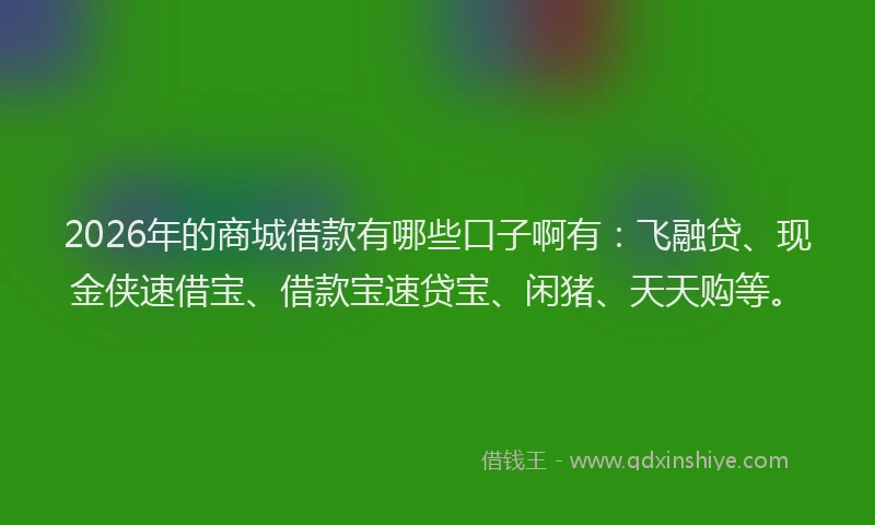 2026年的商城借款有哪些口子啊有：飞融贷、现金侠速借宝、借款宝速贷宝、闲猪、天天购等。