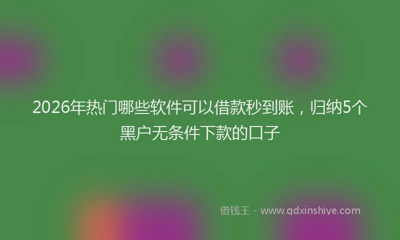 2026年热门哪些软件可以借款秒到账，归纳5个黑户无条件下款的口子