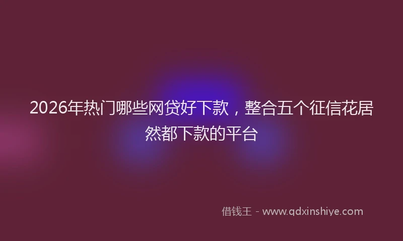 2026年热门哪些网贷好下款，整合五个征信花居然都下款的平台