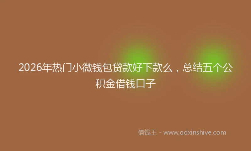 2026年热门小微钱包贷款好下款么，总结五个公积金借钱口子