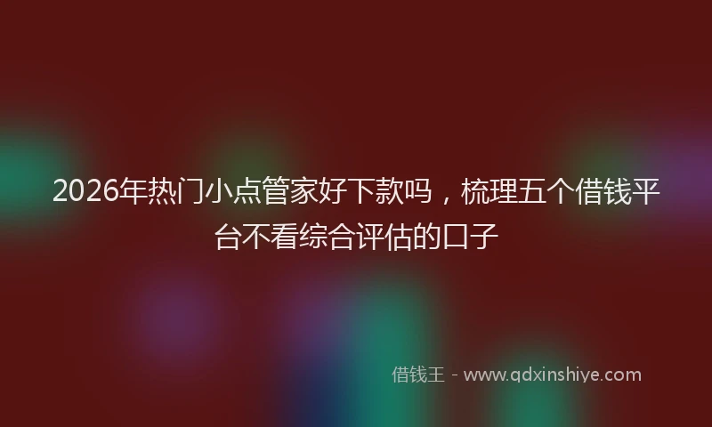 2026年热门小点管家好下款吗，梳理五个借钱平台不看综合评估的口子
