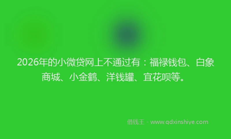 2026年的小微贷网上不通过有：福禄钱包、白象商城、小金鹤、洋钱罐、宜花呗等。