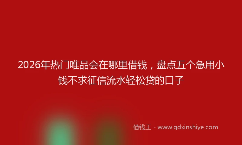 2026年热门唯品会在哪里借钱，盘点五个急用小钱不求征信流水轻松贷的口子