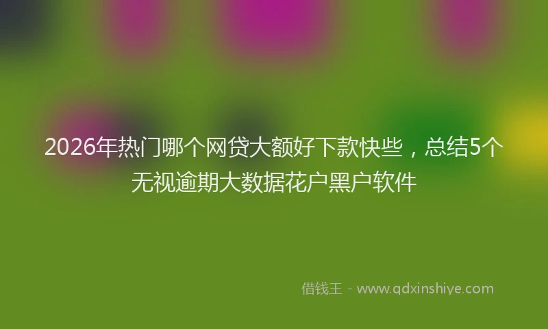 2026年热门哪个网贷大额好下款快些，总结5个无视逾期大数据花户黑户软件
