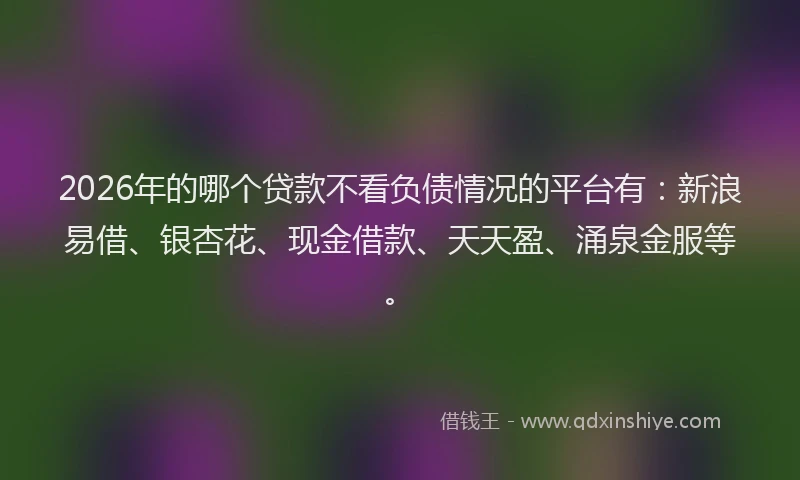 2026年的哪个贷款不看负债情况的平台有：新浪易借、银杏花、现金借款、天天盈、涌泉金服等。