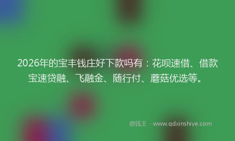 2026年的宝丰钱庄好下款吗有：花呗速借、借款宝速贷融、飞融金、随行付、蘑菇优选等。