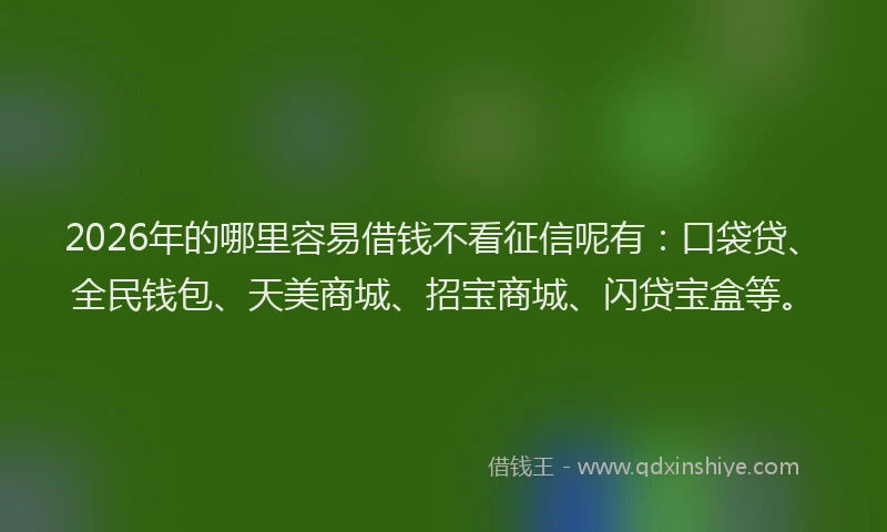 2026年的哪里容易借钱不看征信呢有：口袋贷、全民钱包、天美商城、招宝商城、闪贷宝盒等。
