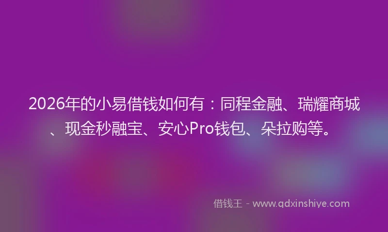 2026年的小易借钱如何有：同程金融、瑞耀商城、现金秒融宝、安心Pro钱包、朵拉购等。