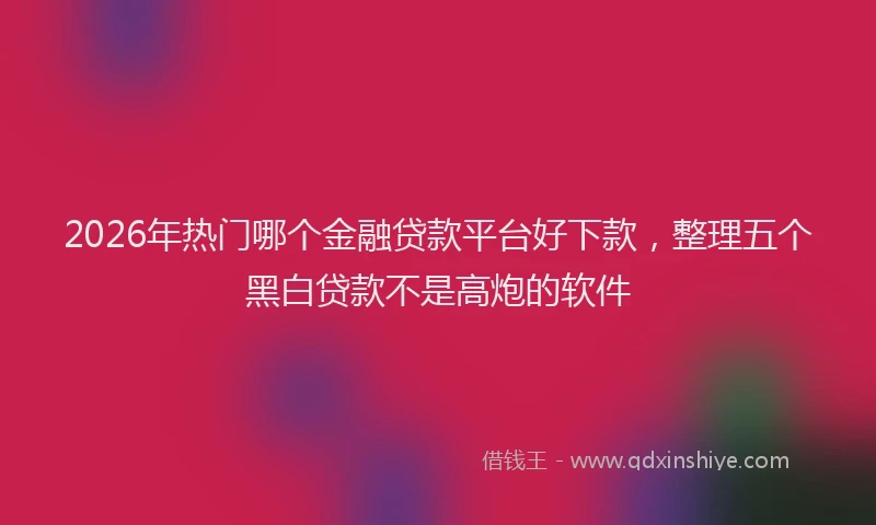 2026年热门哪个金融贷款平台好下款，整理五个黑白贷款不是高炮的软件