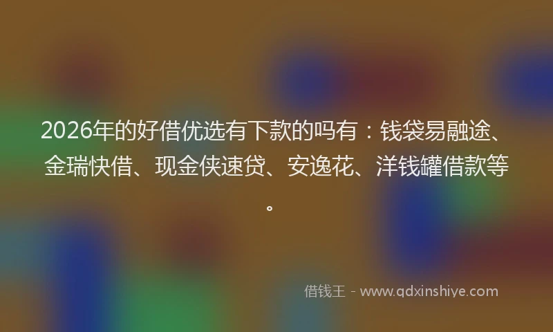 2026年的好借优选有下款的吗有：钱袋易融途、金瑞快借、现金侠速贷、安逸花、洋钱罐借款等。