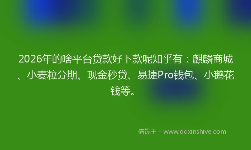 2026年的啥平台贷款好下款呢知乎有：麒麟商城、小麦粒分期、现金秒贷、易捷Pro钱包、小鹅花钱等。