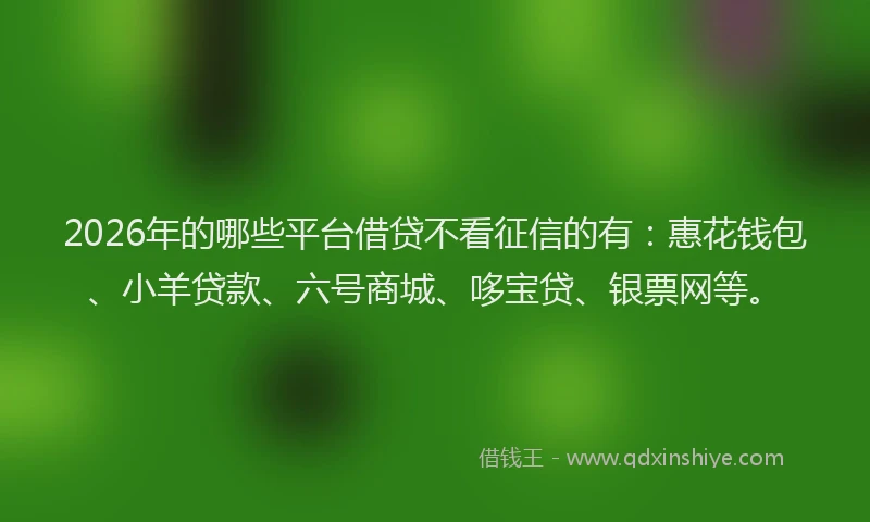 2026年的哪些平台借贷不看征信的有：惠花钱包、小羊贷款、六号商城、哆宝贷、银票网等。