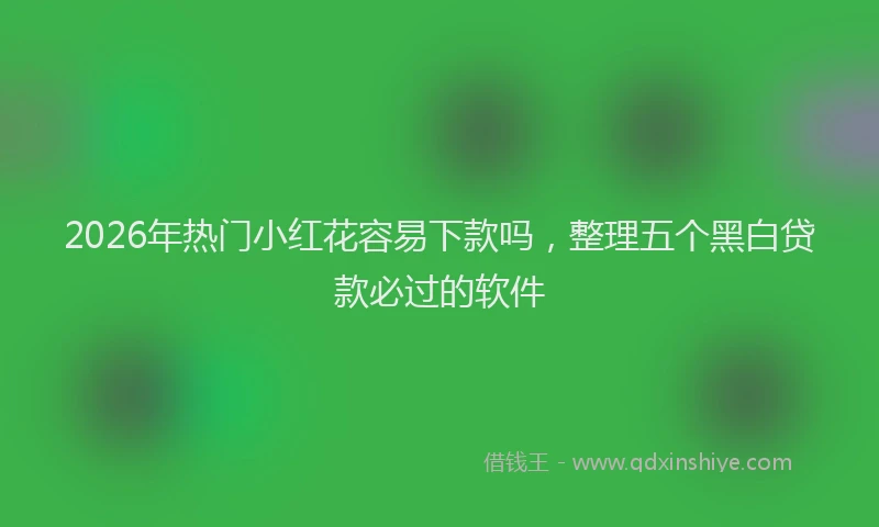 2026年热门小红花容易下款吗，整理五个黑白贷款必过的软件