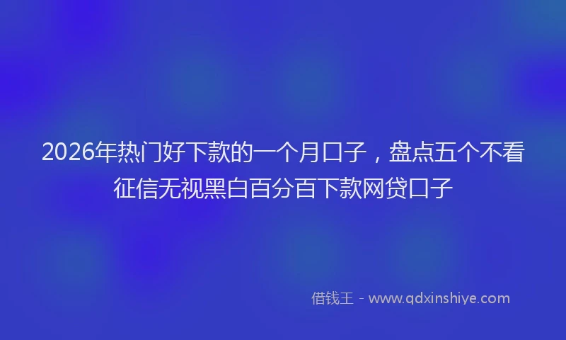 2026年热门好下款的一个月口子，盘点五个不看征信无视黑白百分百下款网贷口子
