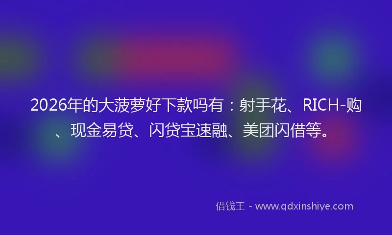 2026年的大菠萝好下款吗有：射手花、RICH-购、现金易贷、闪贷宝速融、美团闪借等。