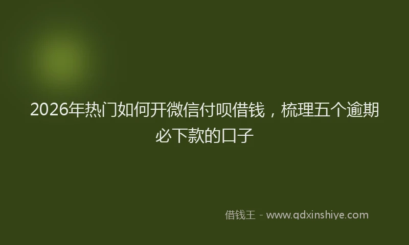 2026年热门如何开微信付呗借钱,梳理五个逾期必下款的口子