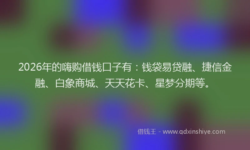 2026年的嗨购借钱口子有：钱袋易贷融、捷信金融、白象商城、天天花卡、星梦分期等。