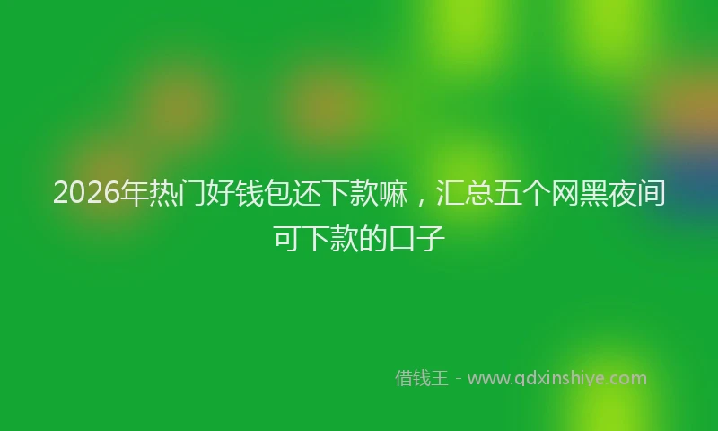 2026年热门好钱包还下款嘛，汇总五个网黑夜间可下款的口子