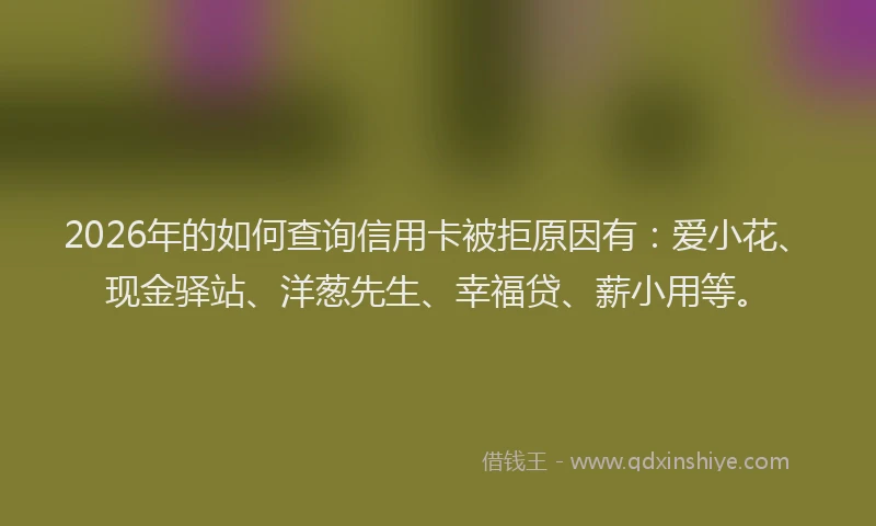 2026年的如何查询信用卡被拒原因有：爱小花、现金驿站、洋葱先生、幸福贷、薪小用等。