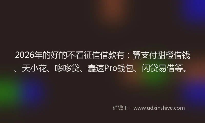 2026年的好的不看征信借款有：翼支付甜橙借钱、天小花、哆哆贷、鑫速Pro钱包、闪贷易借等。