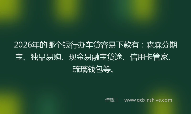 2026年的哪个银行办车贷容易下款有：森森分期宝、独品易购、现金易融宝贷途、信用卡管家、琉璃钱包等。