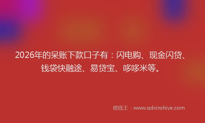 2026年的呆账下款口子有：闪电购、现金闪贷、钱袋快融途、易贷宝、哆哆米等。